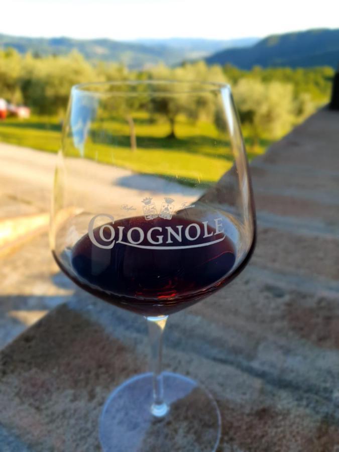 Agriturismo Colognole Pontassieve Zewnętrze zdjęcie