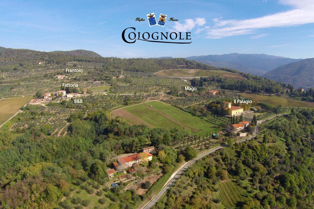 Agriturismo Colognole Pontassieve Zewnętrze zdjęcie